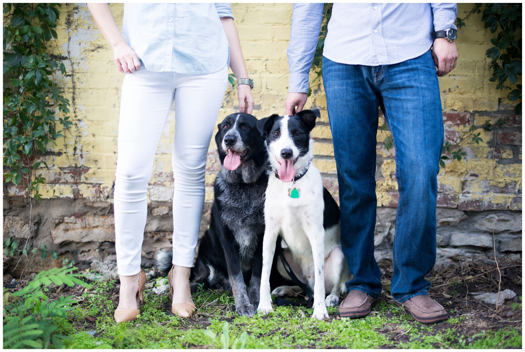 colorful-downtown-family-session-with-dogs-at-english-landing-park-parkville_0005